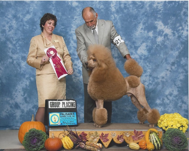 LoCo Meadows Grand Champion Raggs in Selinsgrove, PA
