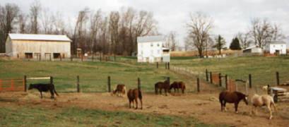 LoCo Meadows Selinsgrove Farm