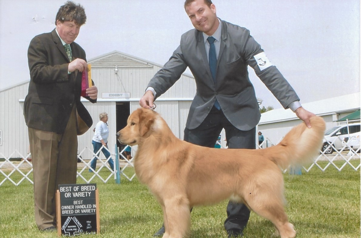 "Berkley" - GCH CH Captivate's Feels Like the First Time