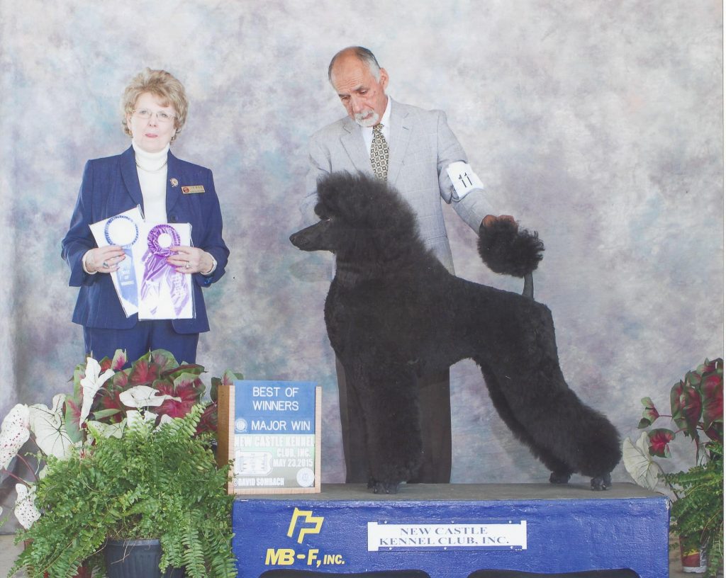 Alan deals waterman poodles